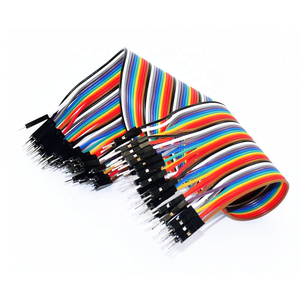 40 Pin 20cm Male to Male Jump Wire Dupont Line